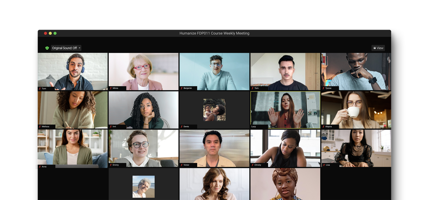 A Humanize dyad session in the browser